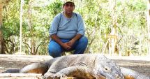 Stire din Actualitate : Grevă din cauza creşterii dramatice a preţului biletelor pentru a vedea dragonii de Komodo