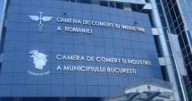 Stire din Economie : Marile organizații ale mediului de afaceri cer reorganizarea administrativ-teritorială totală a României
