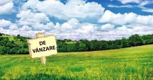 Oferte de aproape 6 milioane de lei, pe piața terenurilor agricole din județul Constanța