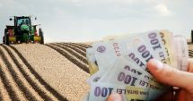 Stire din Economie : Ofertele de terenuri agricole din județul Constanța au urcat la aproape 10 milioane de lei, într-o singură zi
