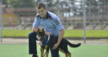 Stire din Eveniment : Mai multe patrule cu câini pe străzi. IGPR vrea listă cu polițiștii dornici să lucreze cu patrupedele