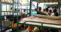 Stire din Eveniment : "Jungla" din penitenciarul Poarta Albă
