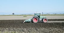 Stire din Economie : Piața constănțeană a terenurilor agricole mustește de oferte de vânzare