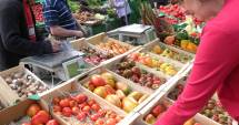 Stire din Social : Cum ne păcălesc comercianții cu produsele eco sau bio