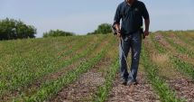 Stire din Social : În căutarea comorilor! Cum sunt prăduite siturile arheologice