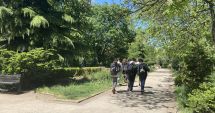 Stire din Politică-Administrație : Primăria Constanța apelează la agenții economici pentru îngrijirea spațiilor verzi. „Nu înstrăinăm domeniul public!”