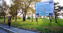 Stire din Social : "Constanța suferă!" Spațiile verzi din oraș, pe cale de dispariție
