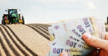 Stire din Economie : Terenurile agricole din județul Constanța s-au scumpit cu aproape 37% în ultimele trei luni. Iată cele mai recente oferte!