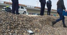 Stire din Eveniment : Cocaină din Brazilia și canabis din Albania, pe piața autohtonă a drogurilor!