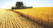 Stire din Economie : Vreți să cumpărați terenuri agricole? Iată ofertele din județul Constanța!