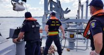 Stire din Eveniment : 25 de delfini omorâți de braconierii turci prinși în Marea Neagră