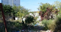 Stire din Social : Amenzi usturătoare pentru proprietarii de clădiri și terenuri neîntreținute