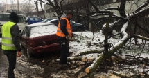 Stire din Social : Județul Constanța, măturat de viscol. Zeci de localități rămase în beznă și fără apă