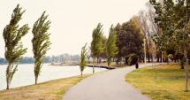 Stire din Social : Se înverzește Constanța? Sute de copaci, arbori și arbuști, plantați în oraș și parcuri