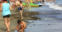 Stire din Social : Mamaia, Năvodari și Eforie au cele mai murdare sectoare de plajă