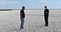 Stire din Social : Dezastru în Dobrogea. Lacul sărat Nuntași, secat complet