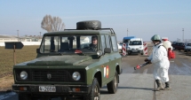Stire din Social : Constănțenii, în alertă! Gripa aviară a ajuns  la Constanța. Rata de mortalitate este uriașă
