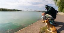 Stire din Social : Lacul Tăbăcărie, plimbat între instituţii. Cine vrea să îl exploateze