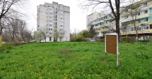 Stire din Social : Betoane pe bulevardul Lăpușneanu. S-a pus cruce pe ultimele două spații verzi de vizavi de Tăbăcărie