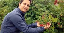 Stire din Social : Începe o nouă eră pentru căpșunari. Sute de joburi pentru muncitori în agricultură, în Spania și Portugalia