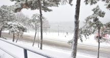 Stire din Social : Ninsori și viscol, astăzi și mâine, la Constanța. Echipajele de deszăpezire, pregătite să intervină