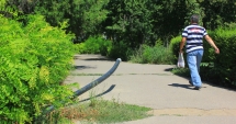 Stire din Social : Dezastrul din Parcul de la Primărie.  "Să fie scoși la muncă asistații social din cartierul Henri Coandă!"