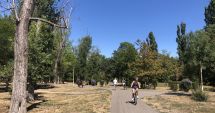 Stire din Social : Pârjol în Parcul Tăbăcărie. Iarbă arsă și copaci uscați, în cel mai mare parc al Constanței