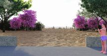 Stire din Social : Plaja din Mamaia, „înverzită”. Vor fi realizate liziere cu arbuşti rezistenţi