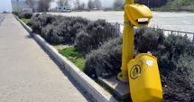 Stire din Social : Portul Tomis, între ruine, buruieni și bărcuțe de lux