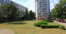 Stire din Social : Punem preț pe spațiile verzi! Ce glumă proastă…