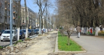 Stire din Social : Cine își bate joc de spațiile verzi din Constanța? Copacii și casetele cu flori de pe Tomis, mutilate