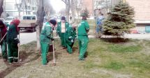 Stire din Politică-Administrație : Primăria Mangalia  a dat startul curățeniei de primăvară.  "Vom efectua plombări unde sunt gropi"
