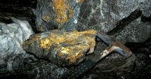 Stire din Actualitate : Un fermier a crezut că a dat lovitura vieţii după ce a găsit 150 de tone de aur pe pământurile sale