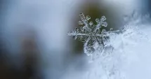 Stire din Actualitate : ANM a emis prognoza până pe 19 ianuarie