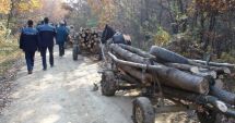 Stire din Eveniment : Poliția Constanța le-a venit de hac hoților de lemne