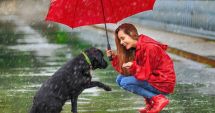Stire din Social : Cod portocaliu de furtuni, în mai multe localități din cinci județe