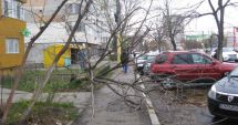 Stire din Eveniment : Constănțeni, atenție unde parcați! Apel important de la Primăria Constanța