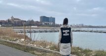 Stire din Social : Descoperire alarmantă pe malul Lacului Techirghiol: șase păsări sălbatice au fost găsite moarte
