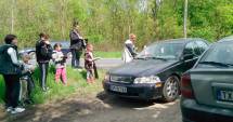 Stire din Cultură-Educație : "Gărgărițele" în Rezervația Fântânița