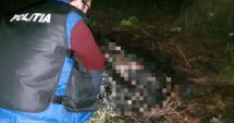 Stire din Eveniment : Bărbat reţinut după ce i-a dat foc câinelui din curte