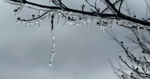 Stire din Social : Alertă ANM de vreme rea. Revin zăpezile și gerul în Dobrogea