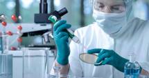 Stire din Actualitate : În alertă! Virusul Zika face ravagii
