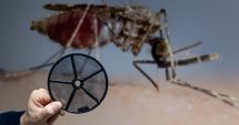 Stire din Actualitate : O infecție rară lovește Statele Unite: autoritățile americane sunt în alertă maximă