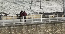 Stire din Social : Faleza Cazinoului și Lacul Tăbăcărie, transformate în peisaje de iarnă spectaculoase