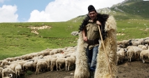 Stire din Fun : Cele mai bune glume cu țărani (I)