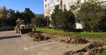Stire din Social : Constanța modernizată. Unde se lucrează în această săptămână