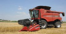 Producția de grâu a României ar putea scădea din cauza secetei prelungite