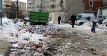 Stire din Politică-Administrație : Când va relua  Polaris ridicarea gunoiului  din Constanța