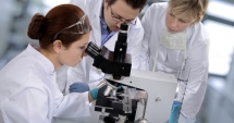 Stire din Economie : Guvernul mimează scutirea cercetătorilor de impozitul pe venit