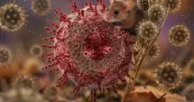 Stire din Social : Managerul spitalului explică situația pacientului suspect de hantavirus. Izolare și anchetă epidemiologică